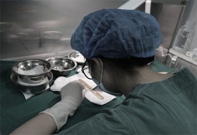 头发种植分离处理